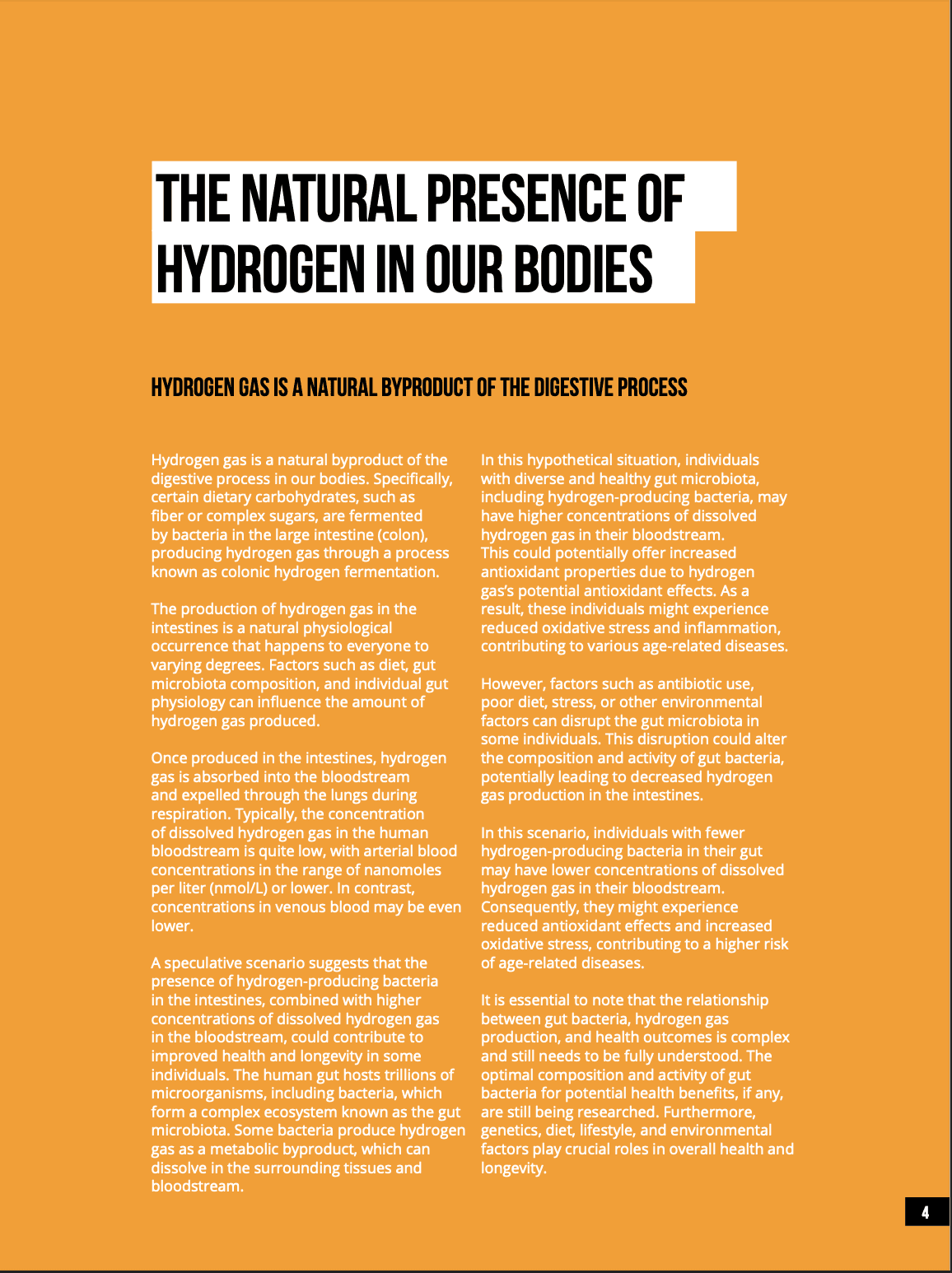 Hydrogen Water Bottle Generators (PDF EBOOK) - Image 4
